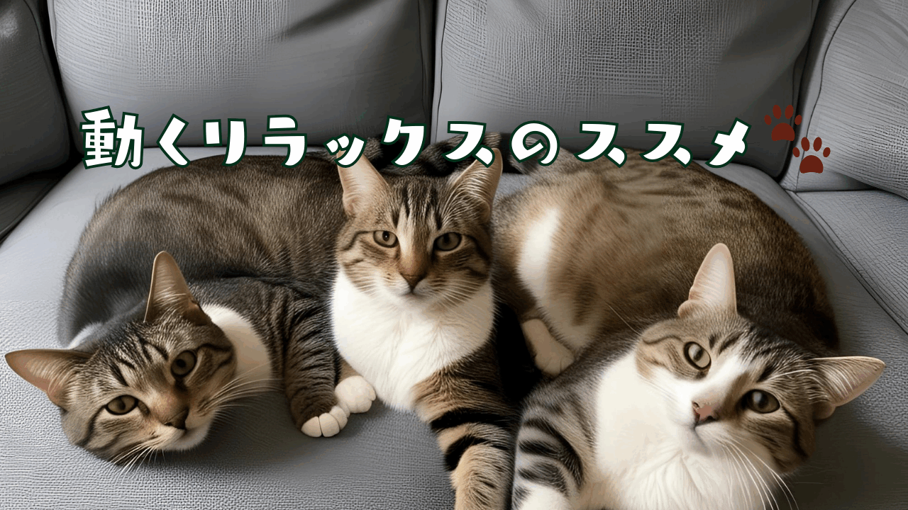 ソファ寝ころぶ３匹の猫
